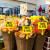 防水可擦写价格展示牌超市生鲜商品标签水果店标价牌塑料价签水产 【A6白板+拇指夹】10套 送笔