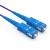胜为 光纤跳线 SC-SC 单模单芯 紫色 10m FSCK-1100