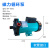 新西山磁力泵驱动循环泵MP10R15R20R30R40耐腐蚀耐酸碱微型化工泵 MP-40RZ-直插口