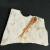 神至生物化石标本 辽西古狼鳍鱼化石标本原板观赏奇石摆件动物SN5590