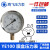 上海亿川YE100膜盒压力表0-6/16/25/60KPA天然气燃气表千帕微压表 YE100(0~1kpa)