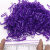 海斯迪克 TPU橡皮筋 一次性彩色分类标识橡皮圈 紫色 (1包)约500个 H-230