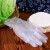 百舸 一次性手套 耐用PVC家务餐饮用厨房清洁加厚1盒 L码