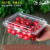 市一次性水果包装盒透明塑料盒水果00水果店一斤装草莓打包盒 125克蓝莓盒-100个 125克蓝莓盒-100个