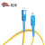 钰光 光纤跳线SC-SC单模单芯1.5米  收发器尾纤