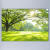 树林风景画森林装饰挂画绿色护眼自粘背景墙贴草地大自然田园风光 背胶（背面带胶，撕掉可贴） 42×30厘米树林 1006