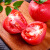 秋水蓝天生吃爆沙瓤 普罗旺斯西红柿 有种番茄 自然熟 新鲜农家蔬菜水果 甄选优质大果【带箱5斤】