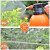 工霸（GONGBA）喷雾器 气压式浇花喷壶洒水壶 园艺用品喷水壶 橙色 3L 定制