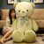 艾乐芙 毛绒玩具熊公仔泰迪熊狗熊玩偶娃娃女孩大号抱抱熊枕儿童女礼物 绿色熊 1.2米