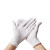 爱马斯 APFWCMD 一次性丁腈手套标准型无粉麻面左右手通用白色L码 100只装