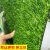 仿真草坪地毯幼儿园假草坪绿植人造人工塑料绿色草皮户外阳台装饰 2.0CM春草加厚特密 2米*3米 【10年】