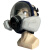 晋广源 CF02全面罩自吸过滤式防毒面具 02球形面罩+配1号滤毒盒七件套
