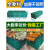 加厚塑料折叠筐货架 水果筐陈列筐 周转框超市水果店摆果框展示筐 绿色 60*40*22厘米