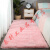 地毯卧室床边满铺少女可爱公主房间网红ins拍照客厅茶几毛毯地垫 卡其色长毛 定制