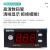 贝尔美 BERM温度控制器 EW-181温控仪AC220V温控器 温控表EW-定制 7天内发货