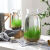 睿格达微景观生态瓶家居微景观海藻水培盆栽桌面玻璃生态瓶透明创意玻璃 12高冬瓜(1个)+水草籽+石子