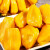 海南三亚特产现摘新鲜黄肉菠萝蜜非榴莲蜜 15-16斤