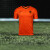 NIKE/耐克2020欧洲杯荷兰主场男子训练短袖球衣CD0712819 橙色CD0712819 S