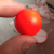 仙僖俫2024新款浮力球泡沫浮球钓鲫鱼球形浮漂洛阳球球钓鱼草鱼路亚滑漂 黄色10个
