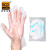 爱柯布洛 一次性PE手套 清洁手套0.6克100只100包 普通款 600138