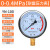 富阳华仪仪表不锈钢耐震压力表yn100油压液压表1.6mpa带油气压表 0-0.4MPA=4公斤 M20*1.5