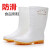 男女白色雨鞋中筒防滑卫生靴低帮雨靴高筒工作水鞋 雨鞋中筒（女） 36
