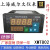 威尔太智能温控仪表上下限报警PID自整定调节器数显温度控制仪 XMT805