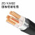 鑫永信 国标铜芯铠装ZC-YJV22电力电缆 足方足米 5*50平方（1米）
