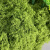 仿真苔藓造景假青苔毛线草皮绿植微景观植物装饰人造仿生草坪森林 纯绿青苔【1米X1米 1平方】