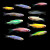 鹃巴斑马鱼热带冷水小型鱼观赏鱼孔雀红绿灯灯科活体淡水好养耐活成鱼 糖果斑马30+5备损