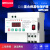 定制上海人民 自动重合闸漏电保护器自复式过欠压限流断路器议价 20A 2P
