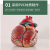 蓝蝶（Blue butterfly）5倍人体心脏模型 医学模型 人体心脏模型可拆卸冠状动脉模型 5倍心脏（带标识） 