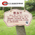 牌子树牌介绍公园定制植物插地绿化学校挂牌树木牌铭牌信息不锈钢 SP-05 10x7cm