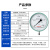 匡建仪表（CONJANT）YGW-150耐高温压力表蒸汽导热油锅炉专用M20*1.5螺纹0-0.16MPa