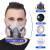 LISM防毒面具全面罩防尘面罩防工业粉尘全脸喷漆专用防护防烟氧气甲醛 6200双罐防尘面具