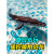 磁立方 MAGNET CUBE儿童遥控船可下水电动鲨鱼巨蟒喷水沧龙喷雾汽艇快艇男孩洗澡 1m  灯光版-金色鲨鱼 豪华四电四块充电电池(续航约6