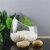 广华（GuangHua）创意多肉植物器皿斜口玻璃花瓶透明水培植物花盆室内盆栽花卉容器 高斜口 中等