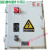 防爆配电柜变频器控制柜动力照明箱接线箱不锈钢PLC触摸屏控制箱 (铸铝)现货 BXK(控制箱)