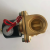 Plyu ZT N2W250-25 AC220V铜水电磁阀常闭-单位：个