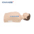 欣曼XINMAN 自动体外模拟除颤与CPR模拟人训练组合