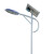 DNP DGL06-B LED 太阳能路灯一体化50W（可定制）