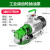 自吸机油抽油泵粘度高齿轮不锈钢柴油食用油液压油 工业级750W(380V)