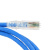 康普 COMMSCOPE六类非屏蔽网线千兆成端网络跳线 NPC06UVDB-BL-005F 蓝色 1.5米