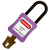 都克P31绝缘安全挂锁（普通型）尼龙抗腐蚀扛冲击耐温安全锁紫色 1把 定制
