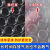 加厚气泡膜卷装快递打包气泡垫泡沫垫泡泡纸垫卷装包装膜防震膜 单层中厚宽25cm长70米2.6斤