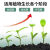 初构想（CHUGOUXIANG）20-20-20小麦玉米水稻果树蔬菜茶叶 氮磷钾农业肥复合肥