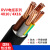 尚可 电线电缆铜芯RVV-4x16+1x10-10米国标护套线软线国标软芯