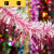 拉花彩条婚礼新房布置春节圣诞节装饰彩带 六一生日毛条公司派对 3米粉色天使之翼