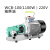 WCB齿轮油泵220v/380v电动柴油加油泵自吸式液压油机油齿轮抽油泵 WCB-100 220V抽柴油专用)