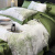 远梦 YOUR MOON2024款天丝印花四件套床上用品夏季轻奢感床上用品花卉床品 晚秋绿 1.8m(6英尺)床